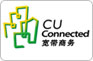 企业光纤20M